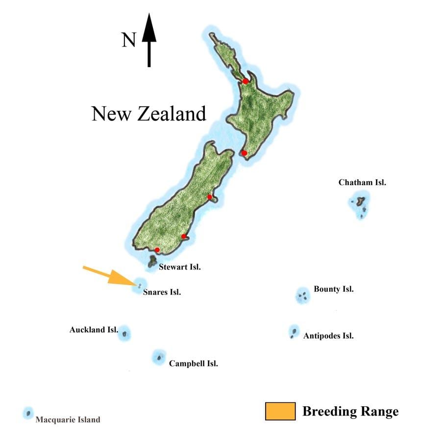 Mapa ng new zealand at nakapaligid na isla